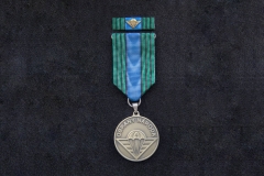 Medaile k 10 . výročí vzniku 4.brn